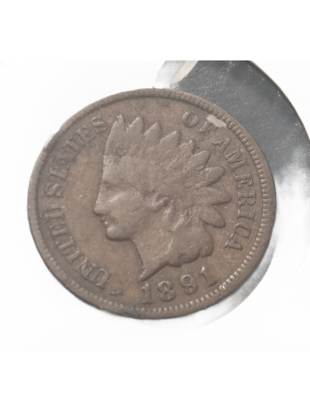 1891 Indian Head Penny #65